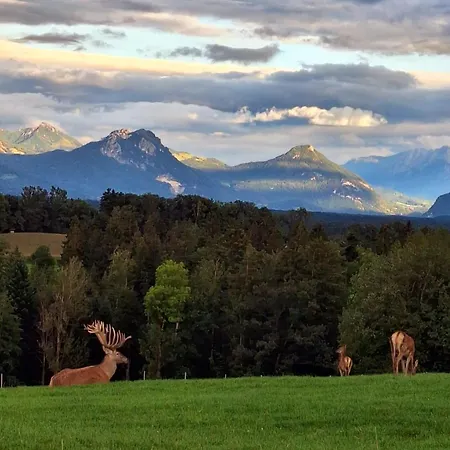 Holzfass Entspannung Pur Mit Schoenstem Bergblick 2 *