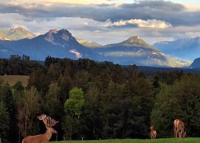 Holzfass Entspannung Pur Mit Schoenstem Bergblick 2 *